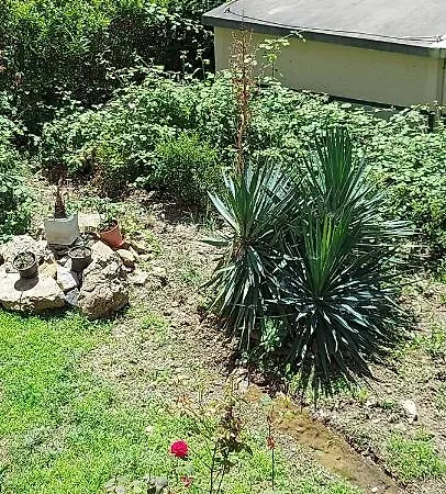 דירה Svety Vlas Rusalka 157 סבטי ולאס